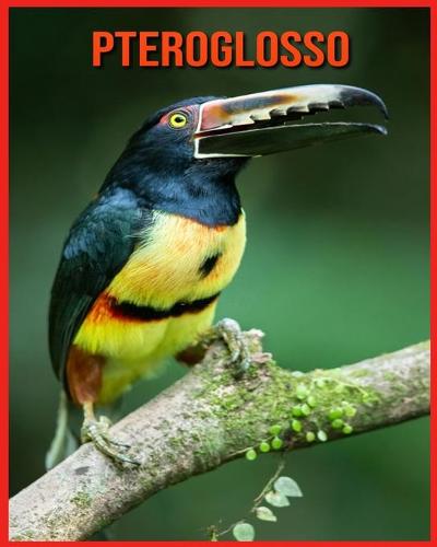 Pteroglosso