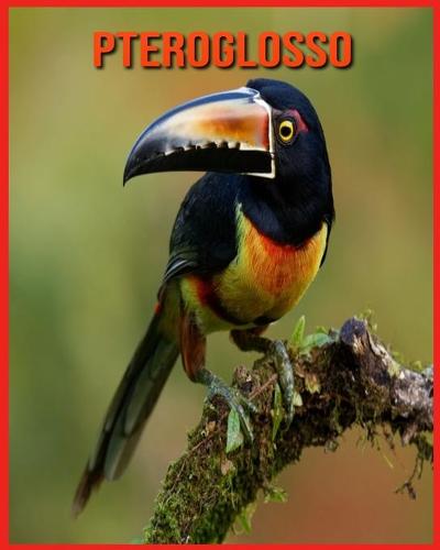 Pteroglosso