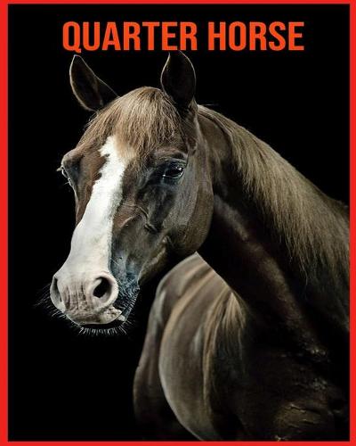 Quarter Horse