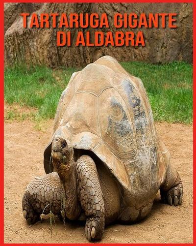 Tartaruga Gigante di Aldabra
