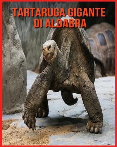 Tartaruga Gigante di Aldabra