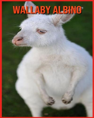 Wallaby Albino