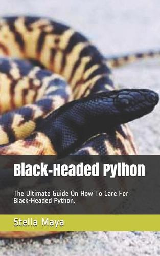 Black-Headed Python