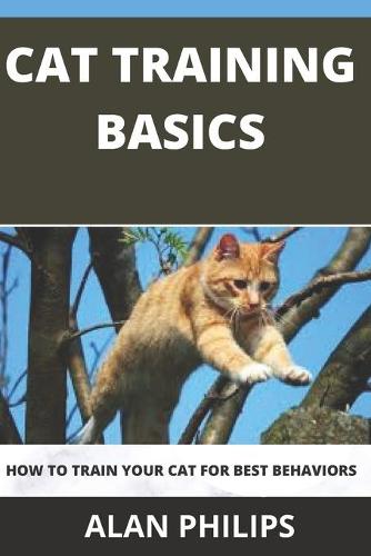 Cat Training Basics