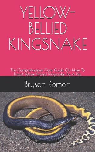 Yellow-Bellied Kingsnake