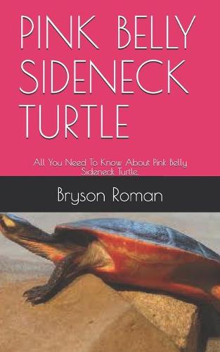 Pink Belly Sideneck Turtle