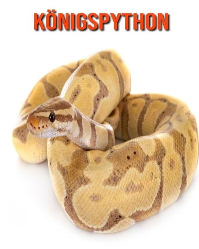 Koenigspython