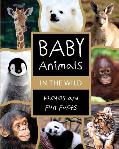 Baby Animals in the Wild