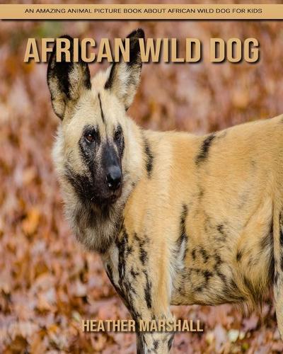 African Wild Dog