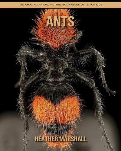 Ants