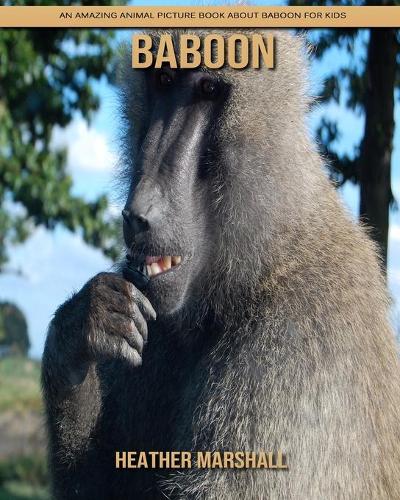 Baboon