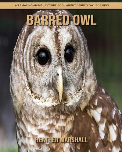 Barred Owl