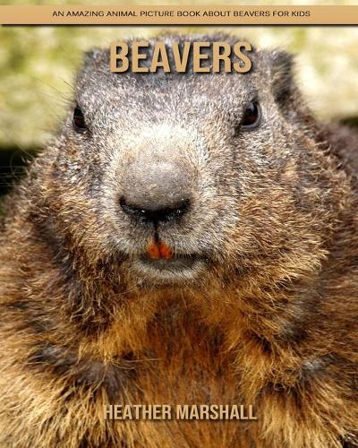 Beavers