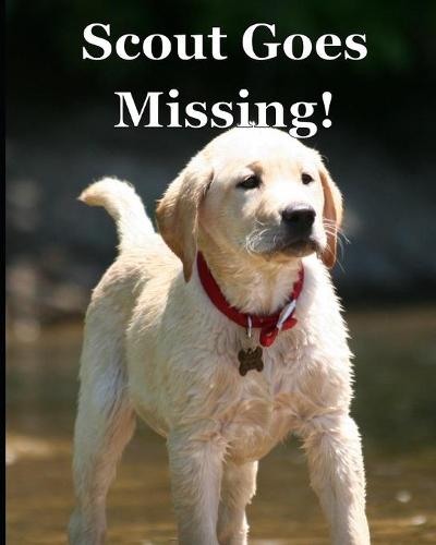 Scout Goes Missing!