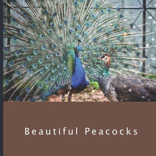 Beautiful Peacocks