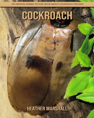 Cockroach