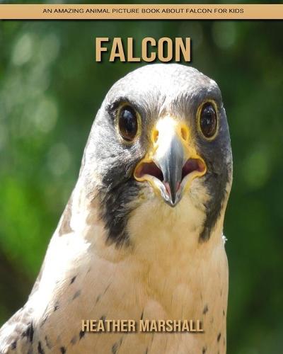 Falcon