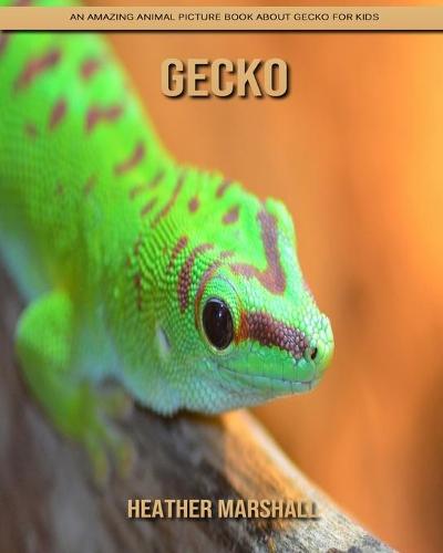 Gecko