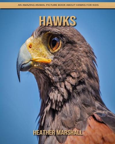 Hawks