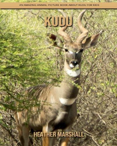 kudu