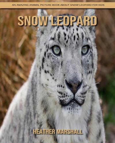 Snow Leopard