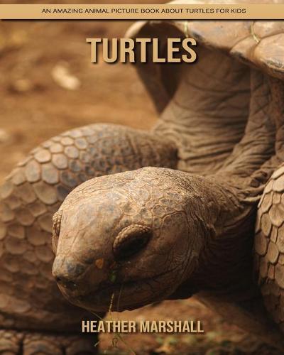 Turtles