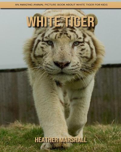 White Tiger