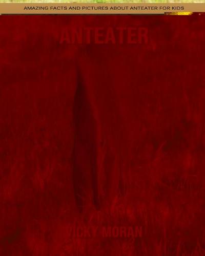 Anteater