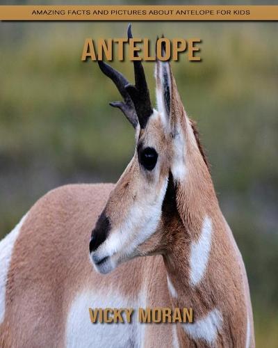 Antelope