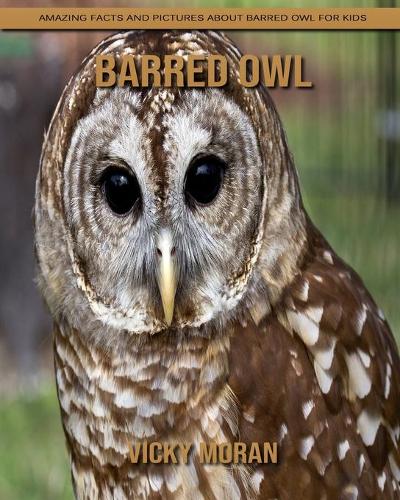 Barred Owl