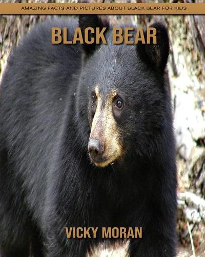 Black Bear
