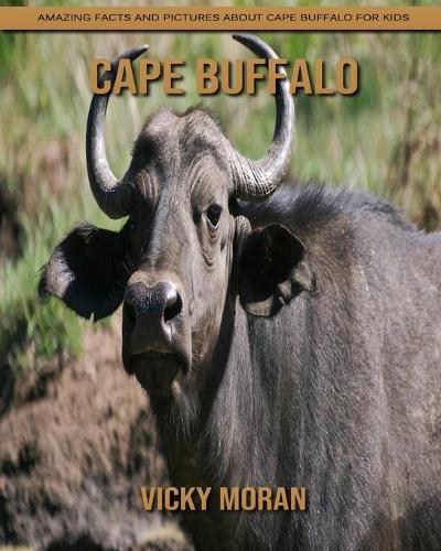 Cape Buffalo