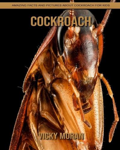 Cockroach