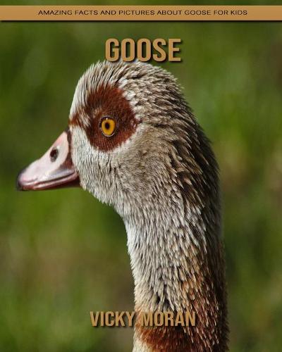 Goose