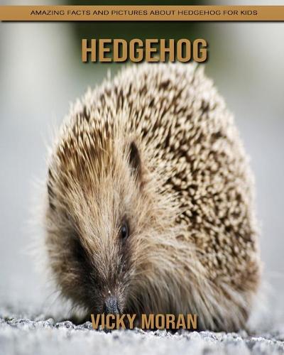 Hedgehog
