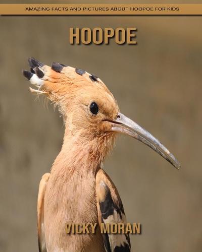 Hoopoe