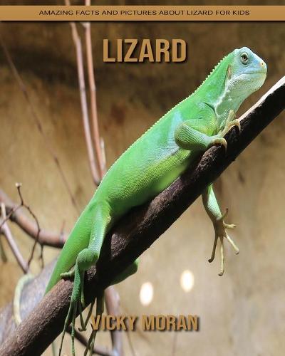 Lizard