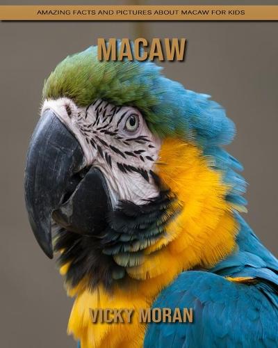 Macaw