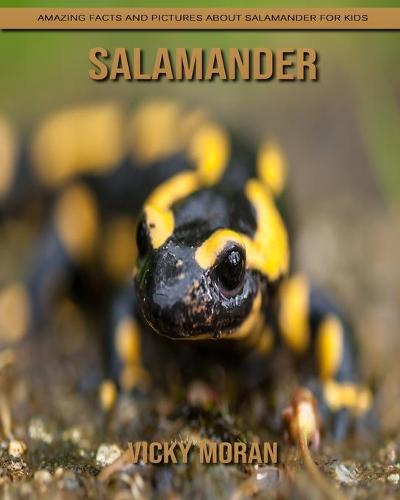 Salamander
