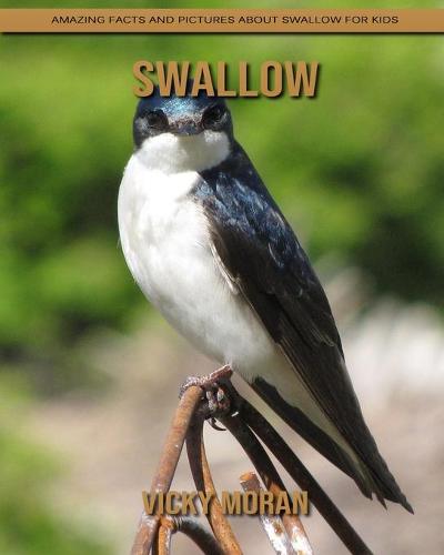 Swallow