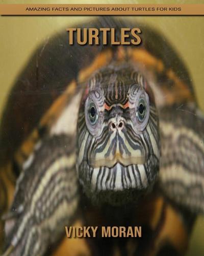 Turtles