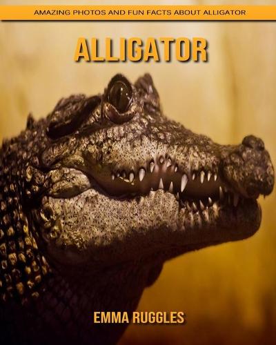 Alligator