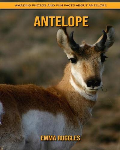 Antelope