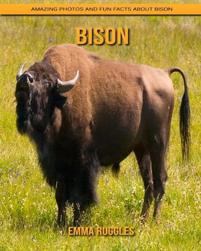 Bison