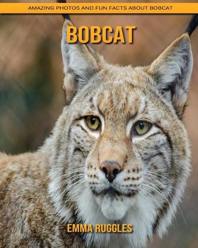 Bobcat
