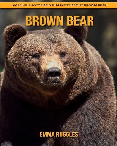 Brown Bear