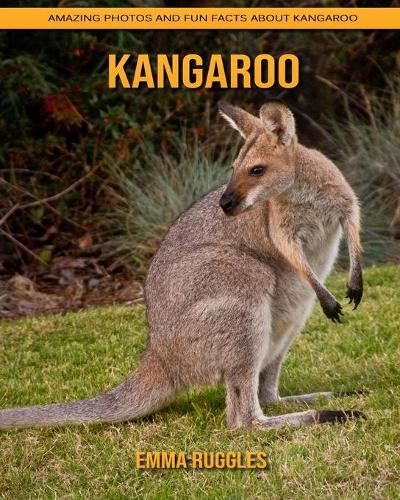 Kangaroo