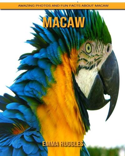 Macaw