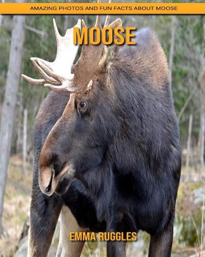 Moose