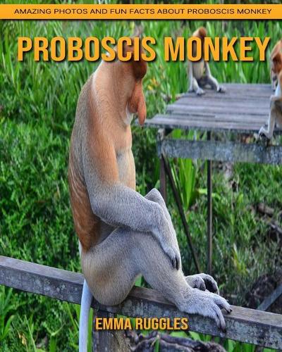 Proboscis Monkey